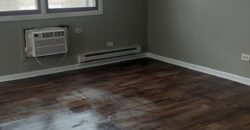 Modern Apartment close to Downtown Sheridan Road