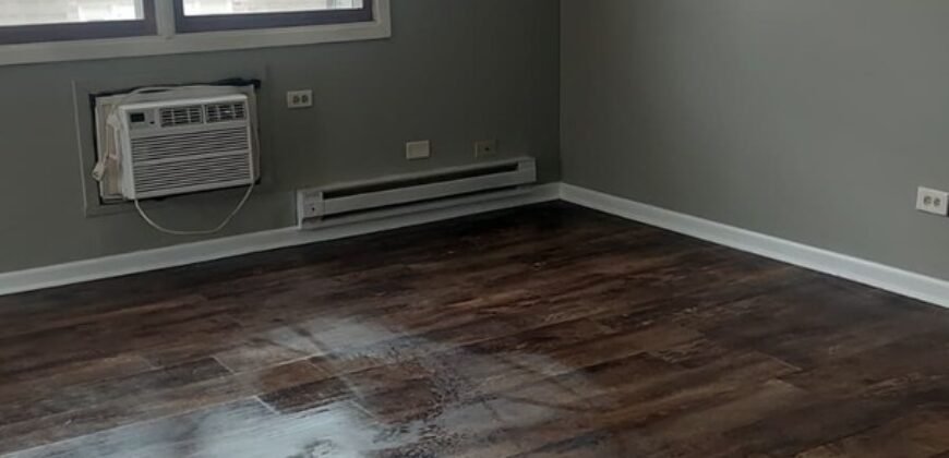 Modern Apartment close to Downtown Sheridan Road