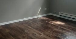 Modern Apartment close to Downtown Sheridan Road