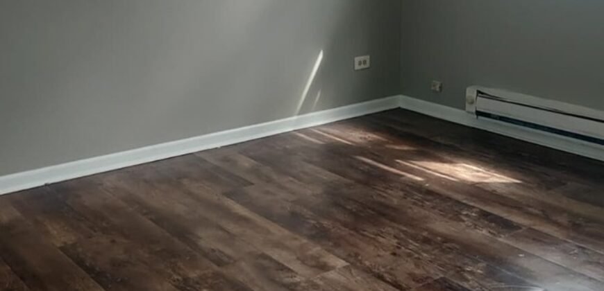 Modern Apartment close to Downtown Sheridan Road
