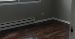 Modern Apartment close to Downtown Sheridan Road