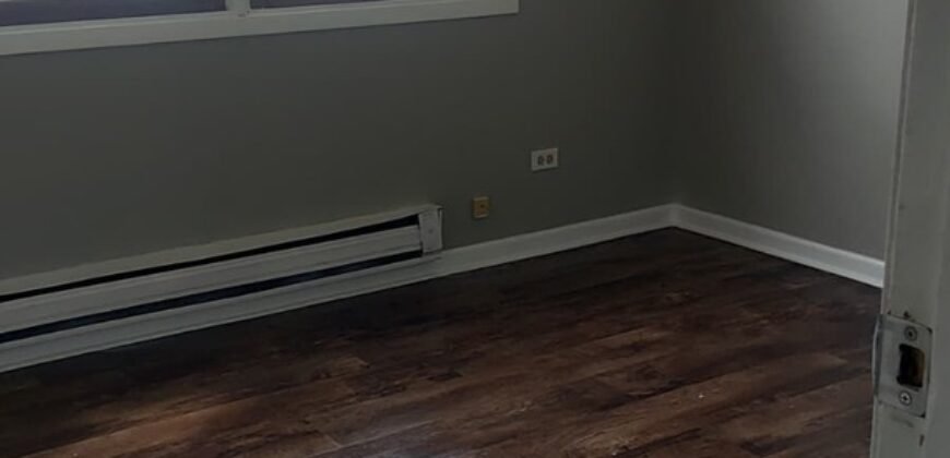 Modern Apartment close to Downtown Sheridan Road