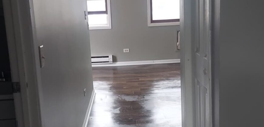 Modern Apartment close to Downtown Sheridan Road