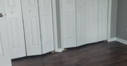 Modern Apartment close to Downtown Sheridan Road