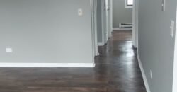 Modern Apartment close to Downtown Sheridan Road