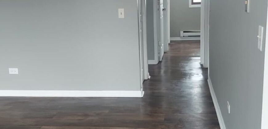 Modern Apartment close to Downtown Sheridan Road