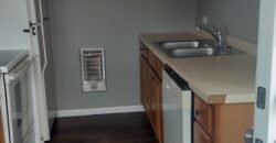 Modern Apartment close to Downtown Sheridan Road