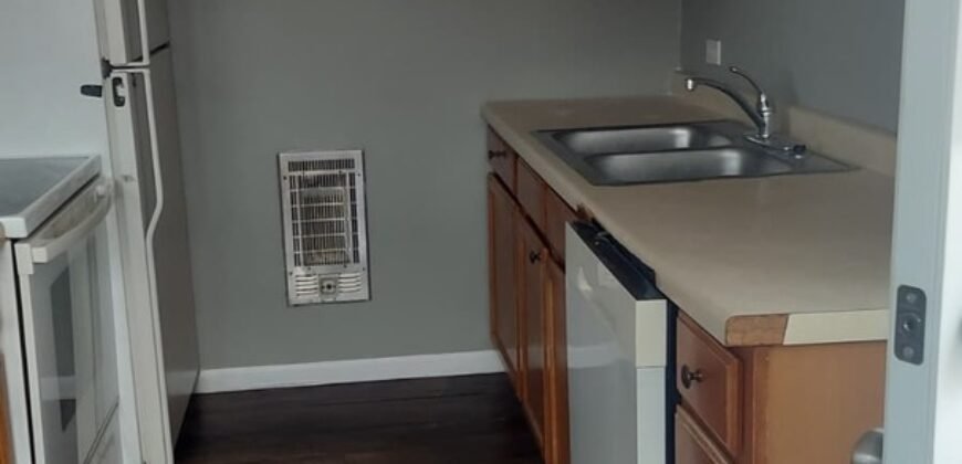 Modern Apartment close to Downtown Sheridan Road
