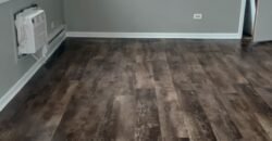 Modern Apartment close to Downtown Sheridan Road