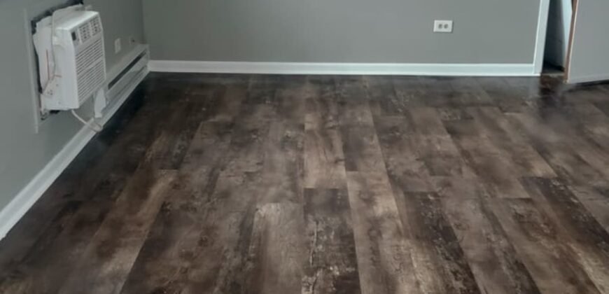 Modern Apartment close to Downtown Sheridan Road