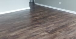 Modern Apartment close to Downtown Sheridan Road