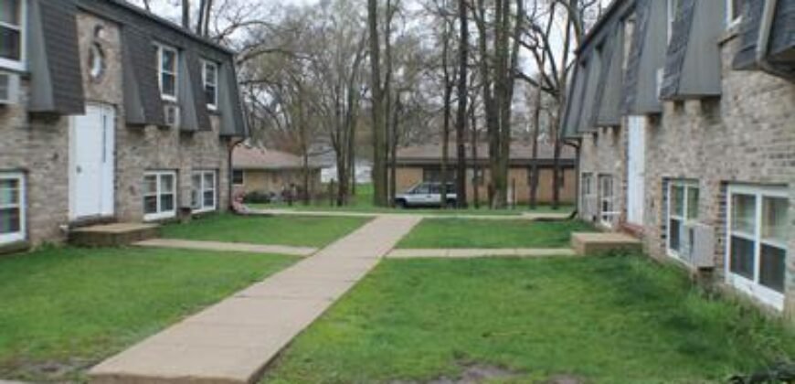 Modern Apartment close to Downtown Sheridan Road