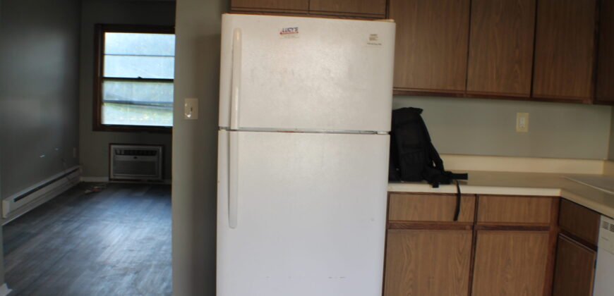 Fully upgraded, Modern Apartment Unit close to Lewis Street