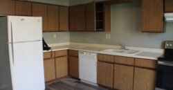 Fully upgraded, Modern Apartment Unit close to Lewis Street