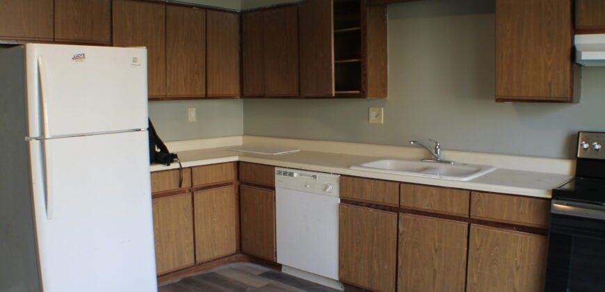Fully upgraded, Modern Apartment Unit close to Lewis Street