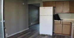 Fully upgraded, Modern Apartment Unit close to Lewis Street