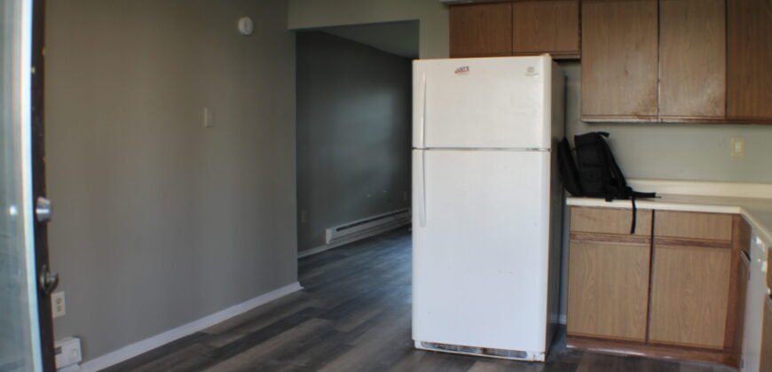 Fully upgraded, Modern Apartment Unit close to Lewis Street
