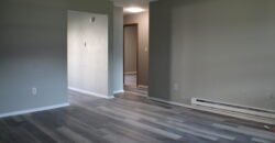 Fully upgraded, Modern Apartment Unit close to Lewis Street