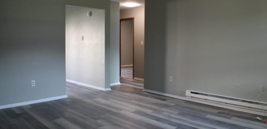 Fully upgraded, Modern Apartment Unit close to Lewis Street