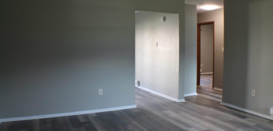 Fully upgraded, Modern Apartment Unit close to Lewis Street