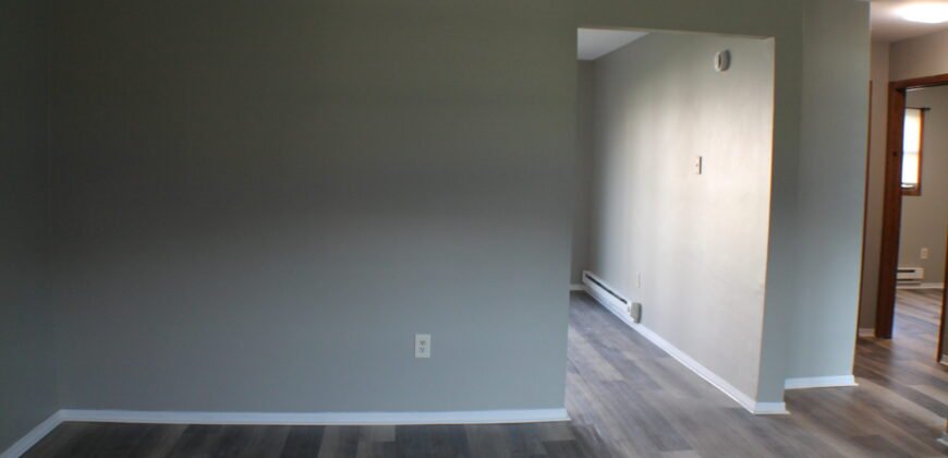 Fully upgraded, Modern Apartment Unit close to Lewis Street