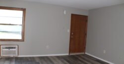 Fully upgraded, Modern Apartment Unit close to Lewis Street