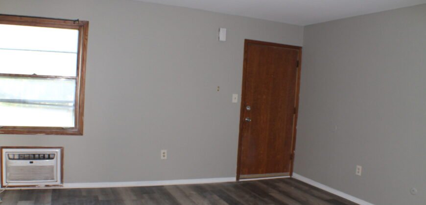 Fully upgraded, Modern Apartment Unit close to Lewis Street