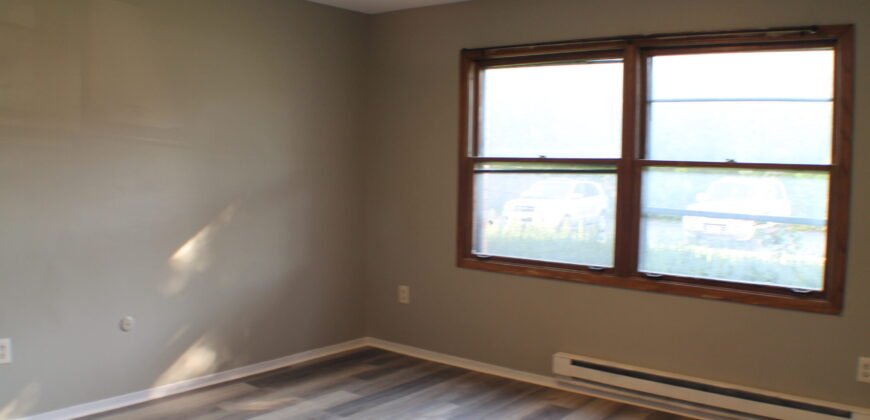 Fully upgraded, Modern Apartment Unit close to Lewis Street